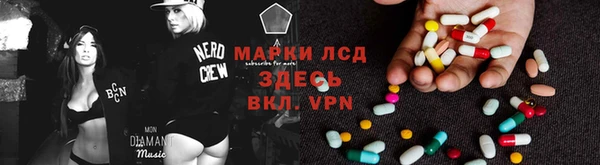 apvp Ельня