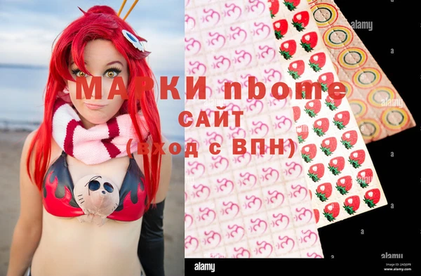 apvp Ельня