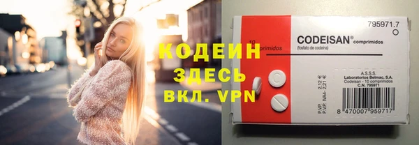 мет Елизово