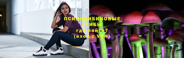 apvp Ельня