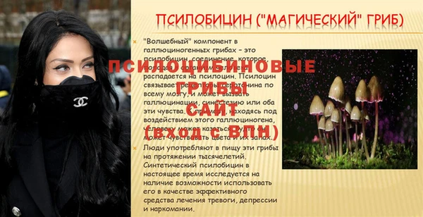 альфа пвп Елабуга