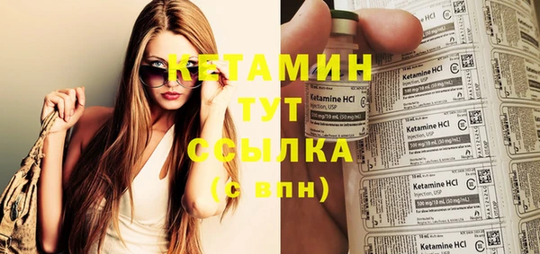 apvp Ельня