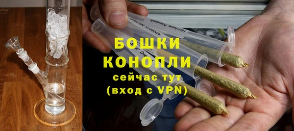 apvp Ельня