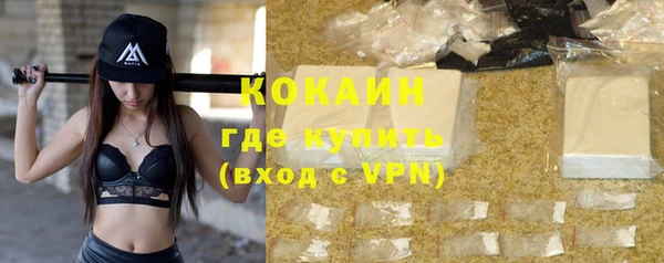apvp Ельня